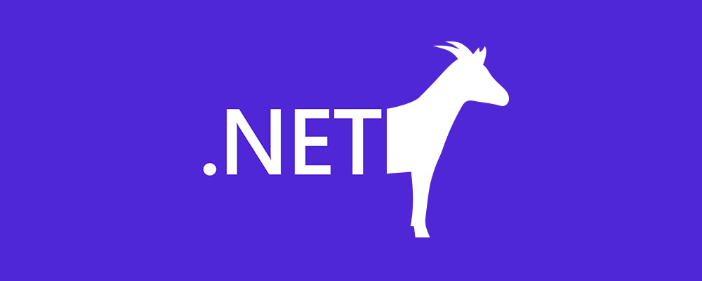 Why .NET framework is the best choice for your digital transformation and future-proofing your digital infrastructure by experienced .NET developers from Poland