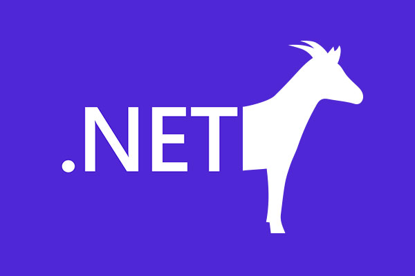 Why .NET framework is the best choice for your digital transformation and future-proofing your digital infrastructure by experienced .NET developers from Poland